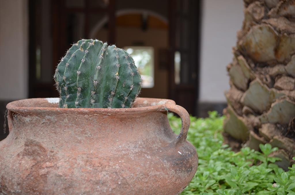 Finca El Carmen Angastaco Ngoại thất bức ảnh