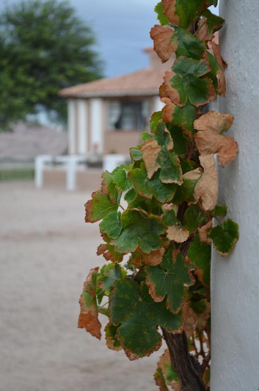 Finca El Carmen Angastaco Ngoại thất bức ảnh