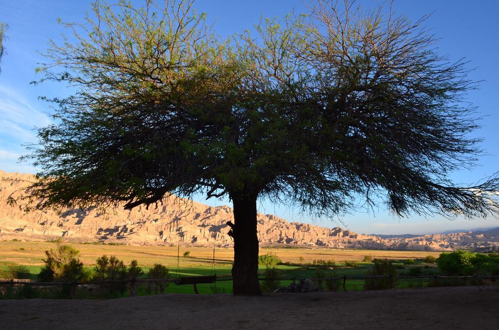 Finca El Carmen Angastaco Ngoại thất bức ảnh